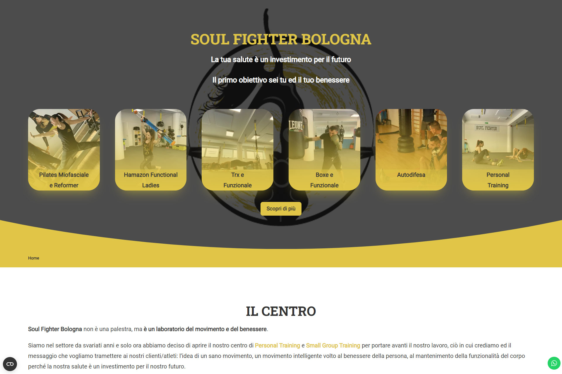 Soul Fighter Bologna Sito Web