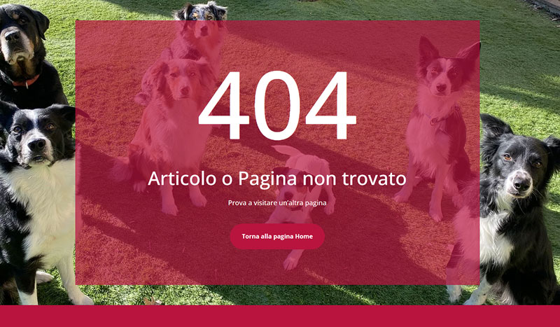 l-importanza-della-pagina-404-nei-siti-web-lv-design-web-agency-1