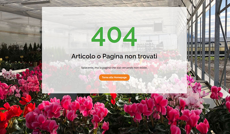 l-importanza-della-pagina-404-nei-siti-web-lv-design-web-agency-3